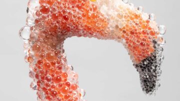 グレゴール・ヒルデブラント個展「…それでも4月に桜は咲く」